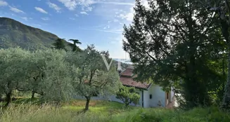 von_poll_real_estate_property_IT254921783_image_13