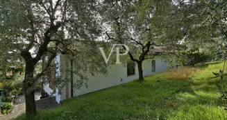 von_poll_real_estate_property_IT254921783_image_11