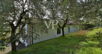 von_poll_real_estate_property_IT254921783_image_11