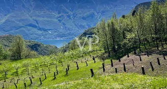 von_poll_real_estate_property_IT254151778_image_6