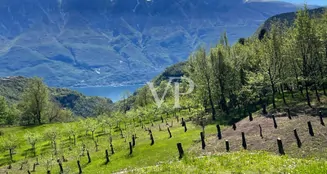 von_poll_real_estate_property_IT254151778_image_6