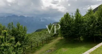 von_poll_real_estate_property_IT254151778_image_29