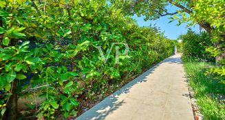 von_poll_real_estate_property_IT254921979_image_30