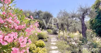 von_poll_real_estate_property_IT254152254_image_5