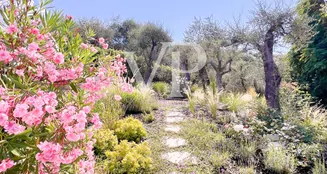 von_poll_real_estate_property_IT254152254_image_5