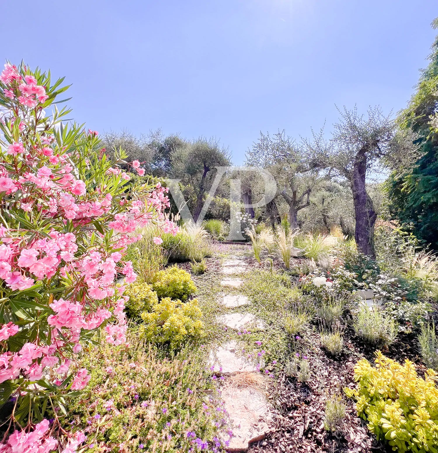 Le Ville del Coi - Torri del Benaco