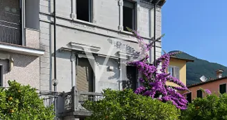 von_poll_real_estate_property_IT254922537_image_7