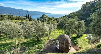 von_poll_real_estate_property_IT254922666_image_19