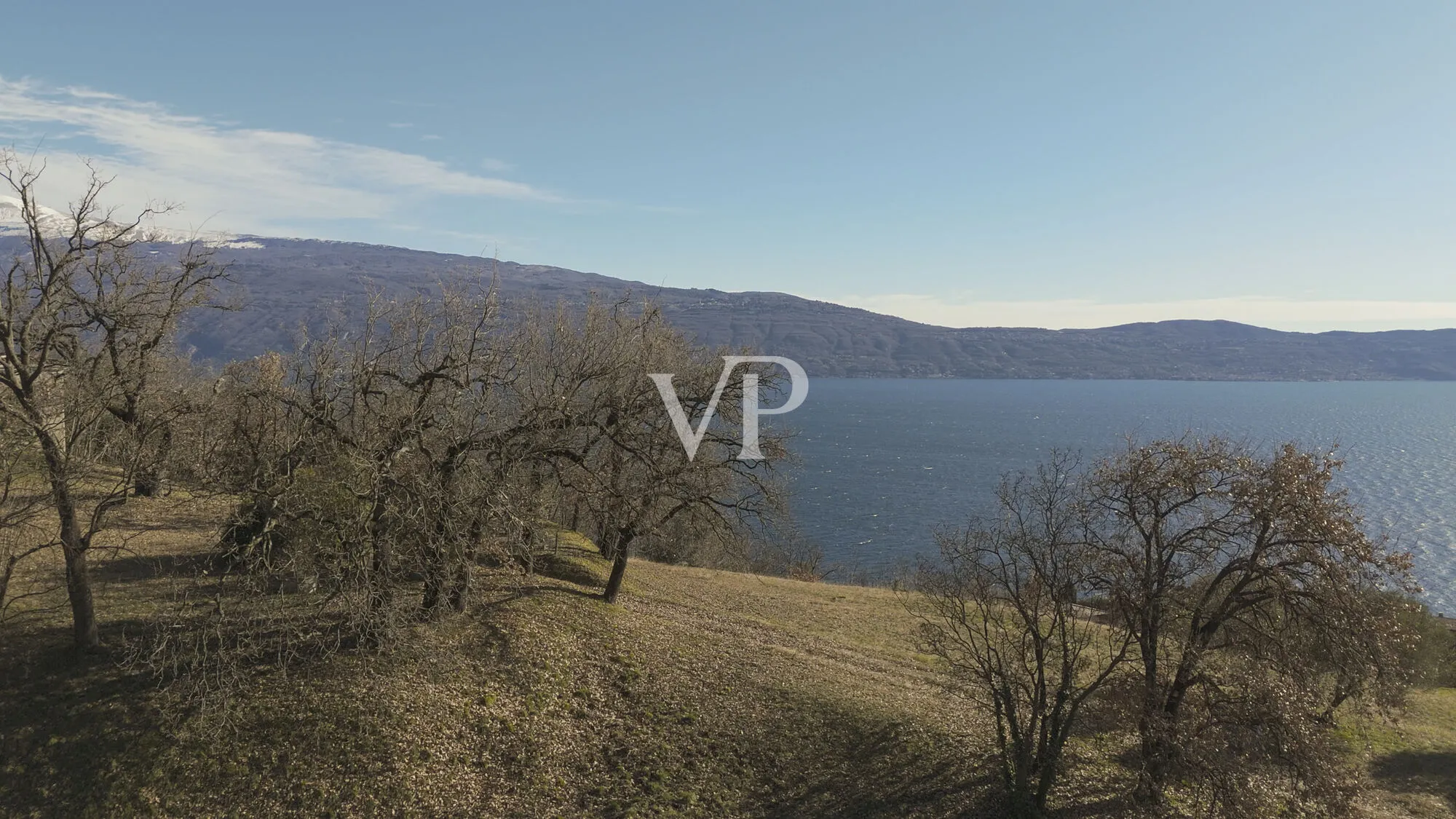 Farmhouse with lake view and olive grove
