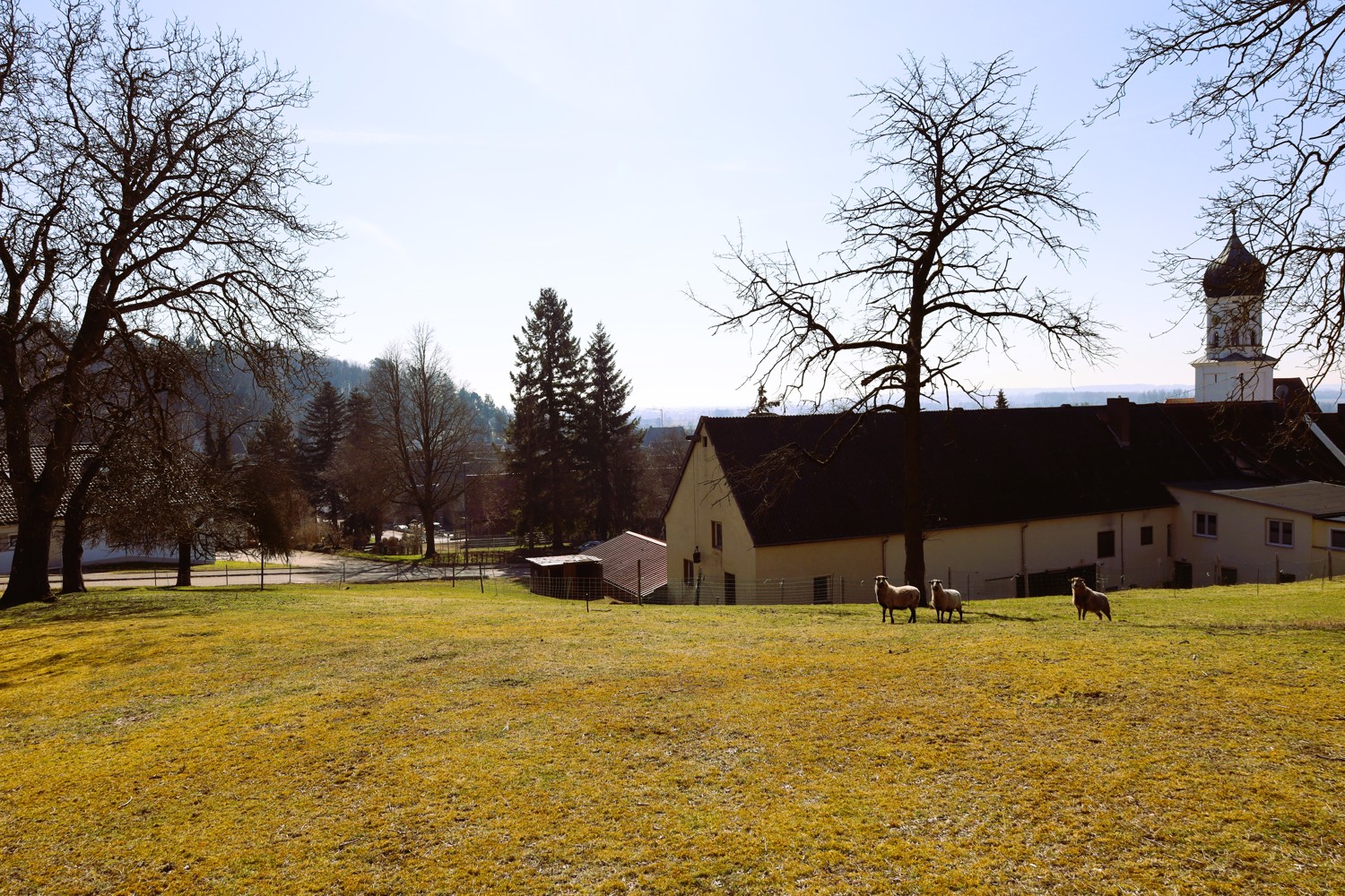 Traumgrundstück in Ausblickslage