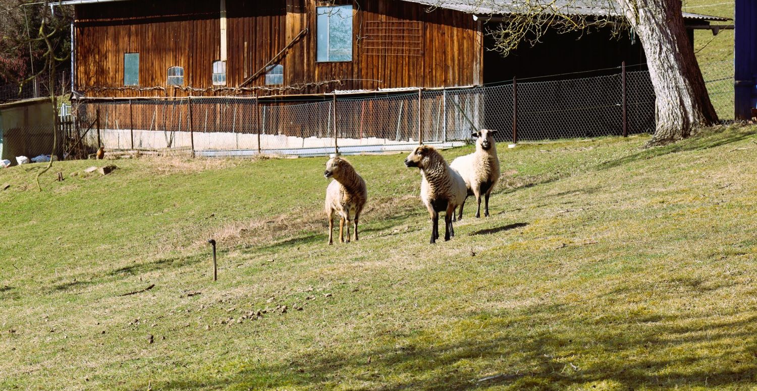 Traumgrundstück in Ausblickslage