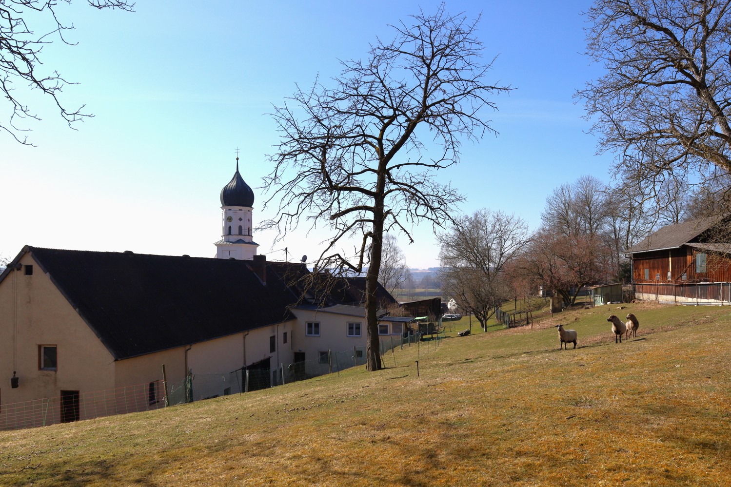 Sanierung oder Abriss Bestandsbau auf attraktivem Grundstück