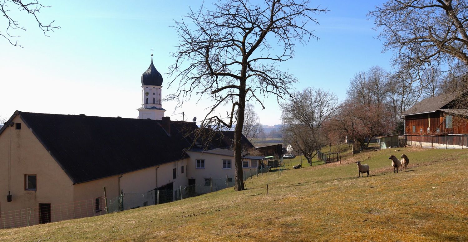 Sanierung oder Abriss Bestandsbau auf attraktivem Grundstück