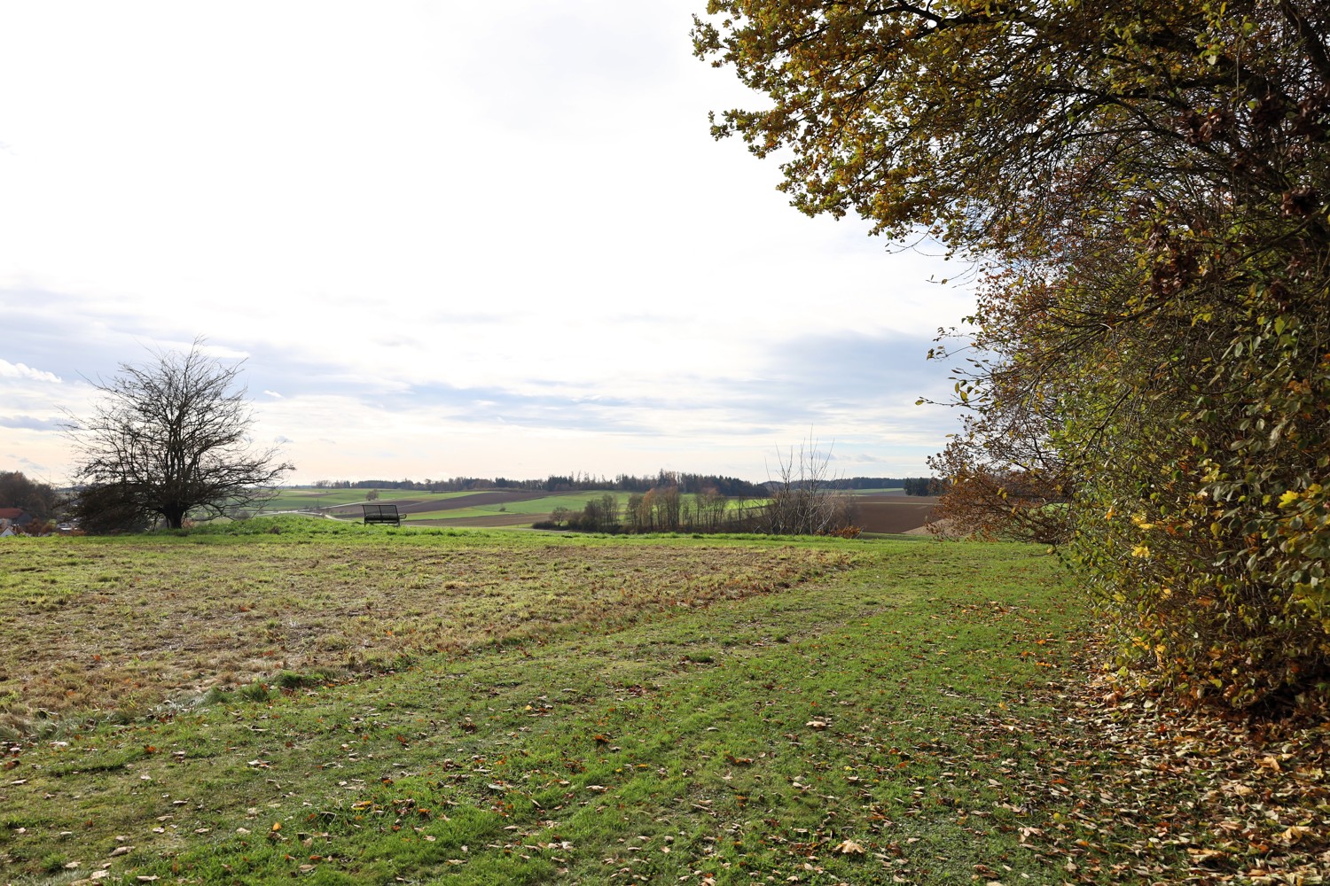 Seltene Gelegenheit – Grundstück mit unverbaubarem Panorama