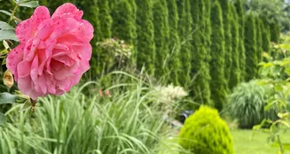 von_poll_real_estate_property_25450011_image_16