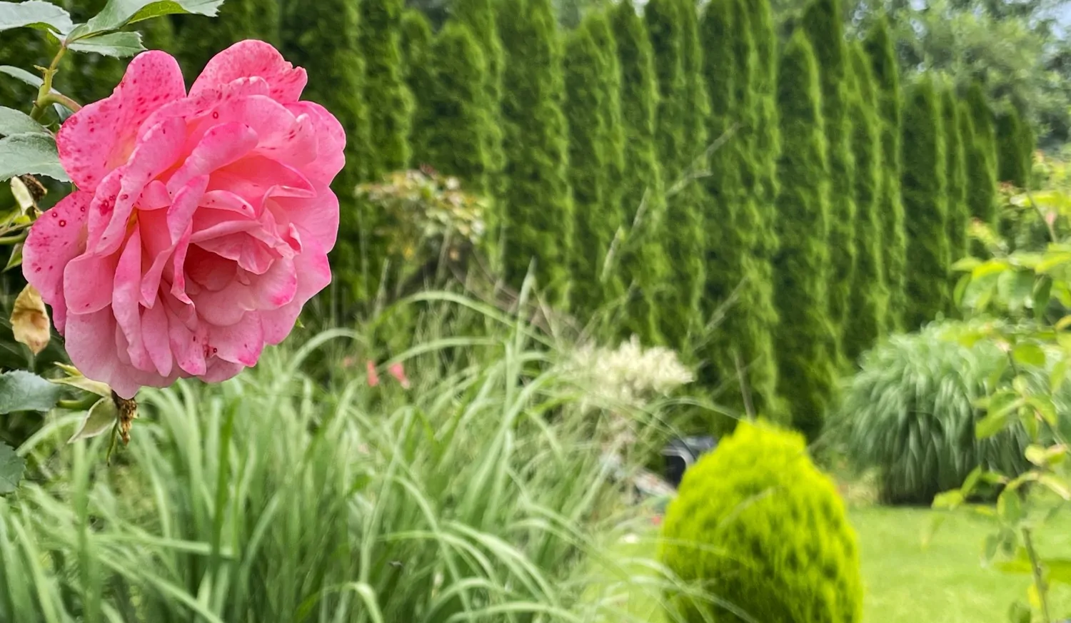 Hochwertiges Zweifamilienhaus