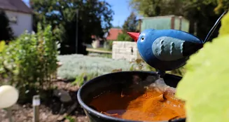 von_poll_real_estate_property_25450018_image_17