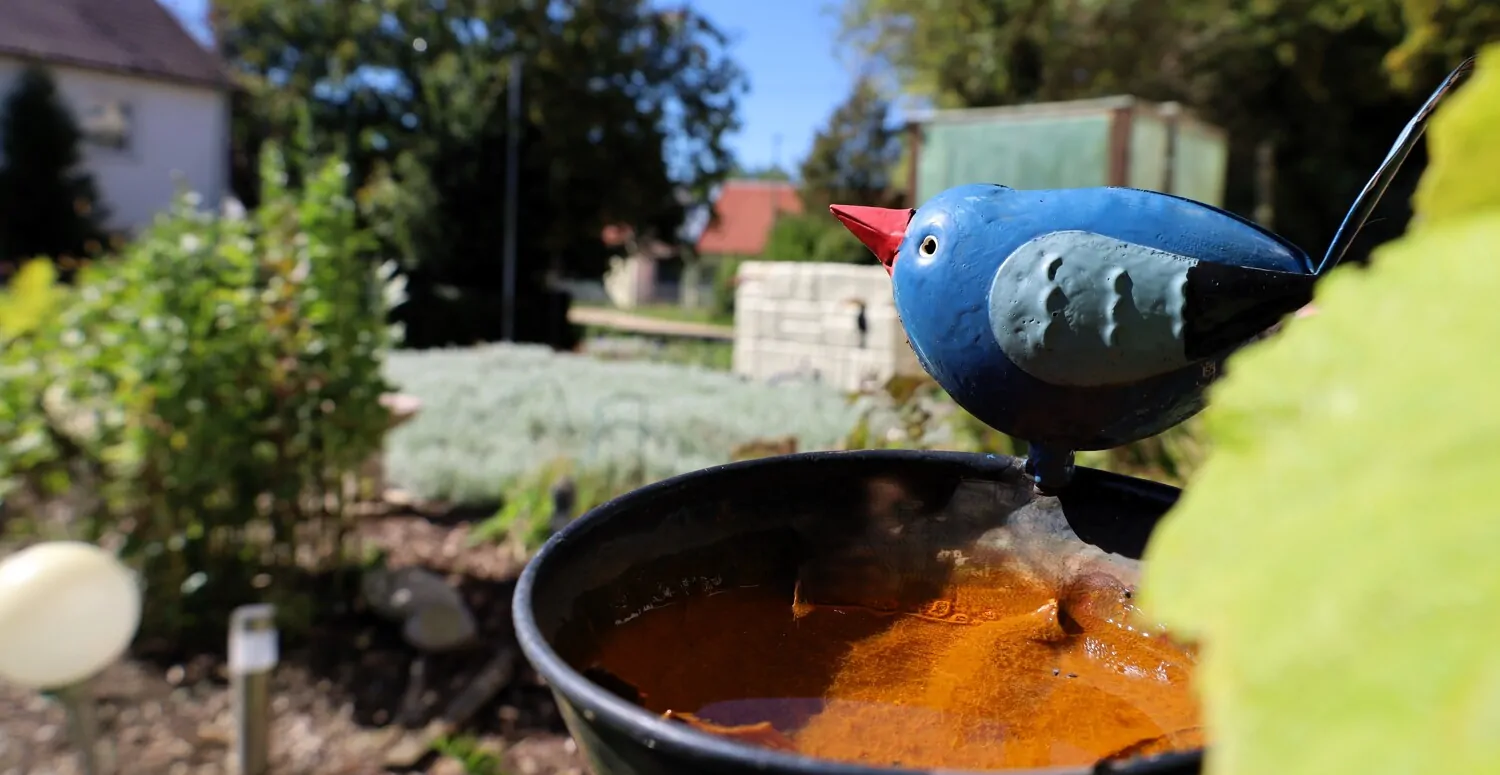 Zweifamilienhaus mit viel Platz