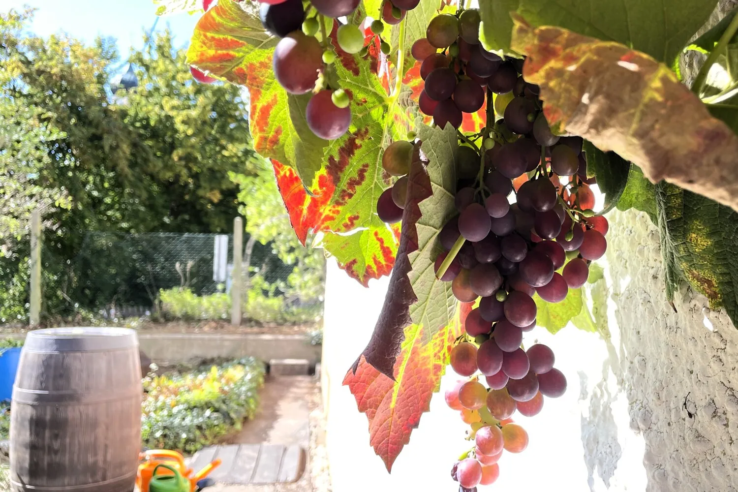 Zweifamilienhaus mit viel Platz