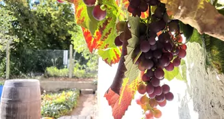 von_poll_real_estate_property_25450018_image_1