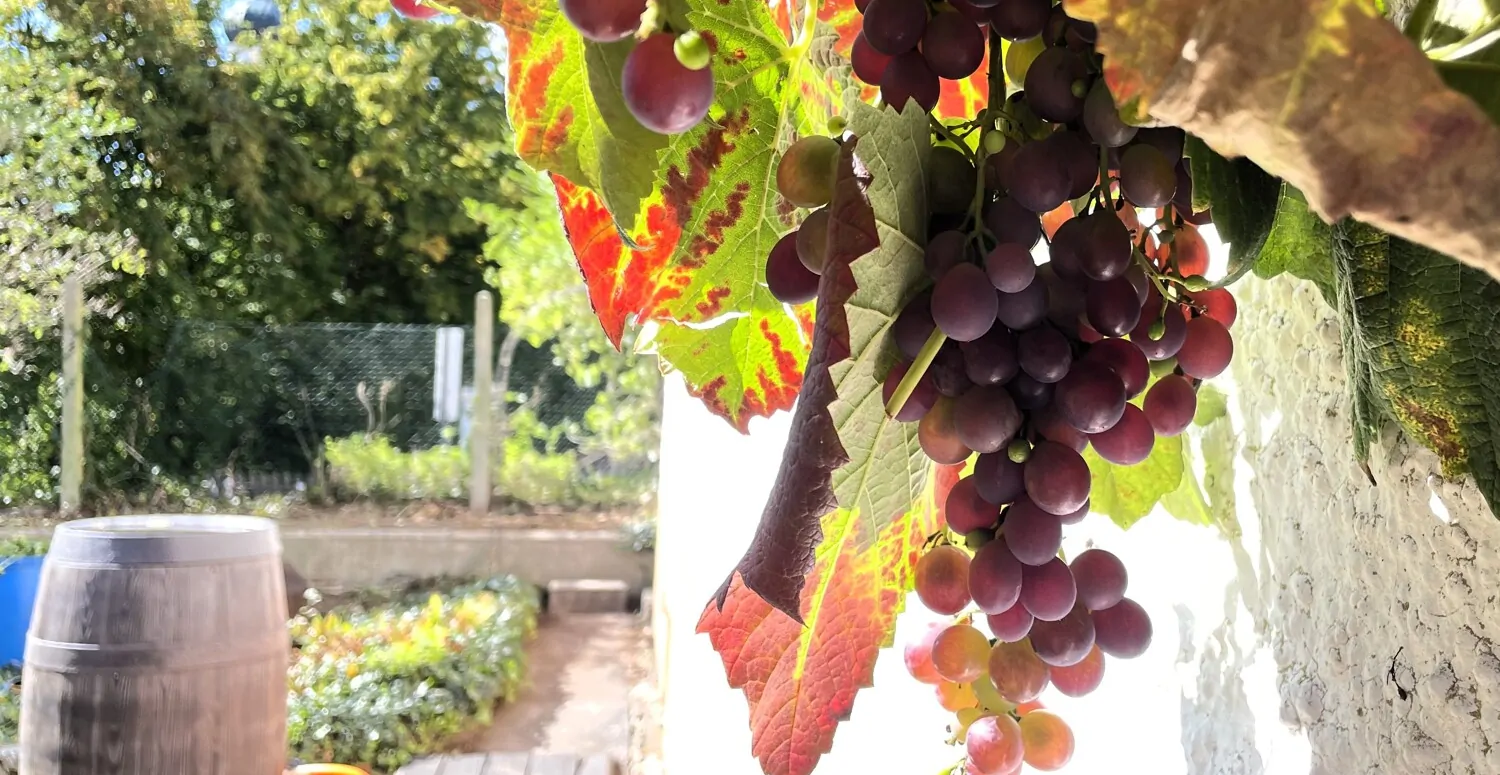 Zweifamilienhaus mit viel Platz