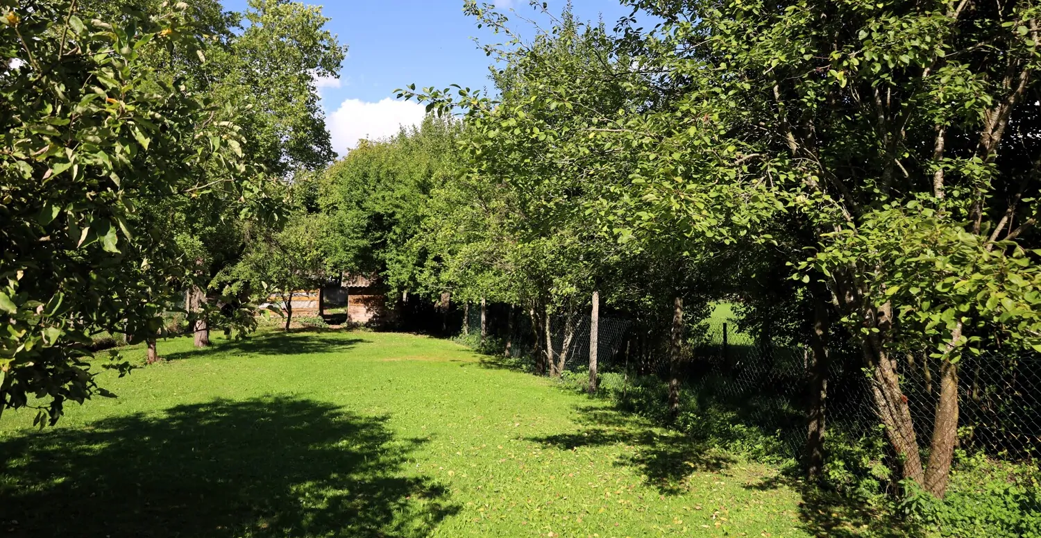 Zweifamilienhaus mit viel Platz