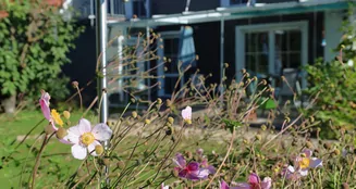 von_poll_real_estate_property_25450026_image_10