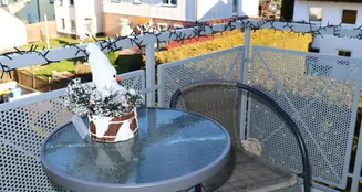 von_poll_real_estate_property_25450030_image_8