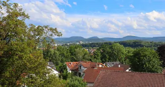 von_poll_real_estate_property_24362166_image_7