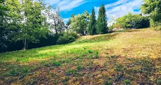 von_poll_real_estate_property_23362149_image_7