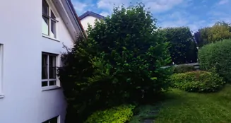 von_poll_real_estate_property_24362171_image_7