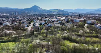 von_poll_real_estate_property_25362192_image_6