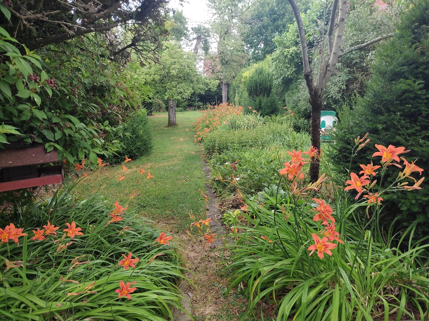 Blumen im Garten