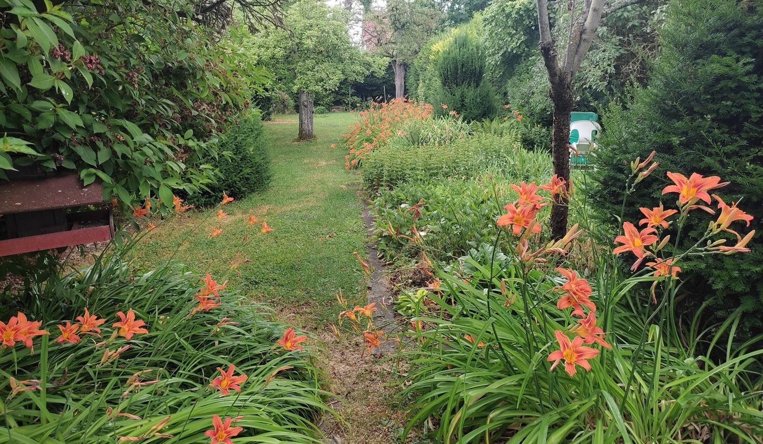 Blumen im Garten