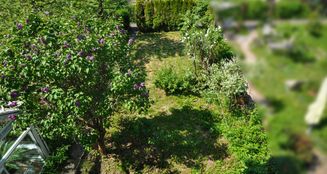 von_poll_real_estate_property_25362194_image_6