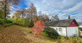 von_poll_real_estate_property_25362212_image_13