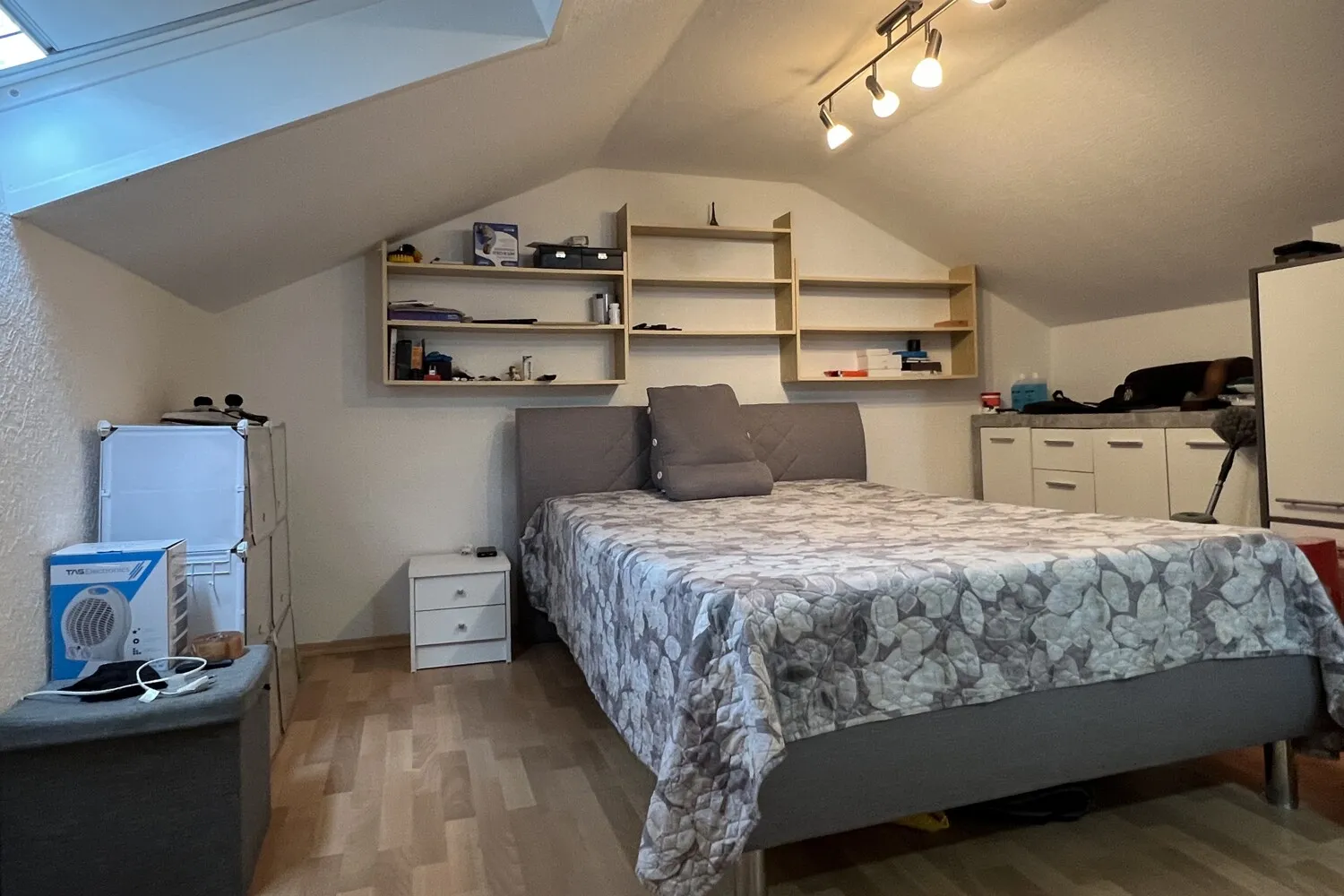 Zimmer DG