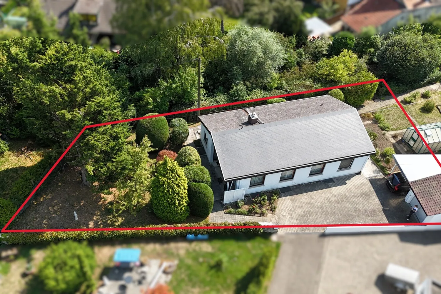 dji_fly_20260730_110306_0328_1785422540157_photo