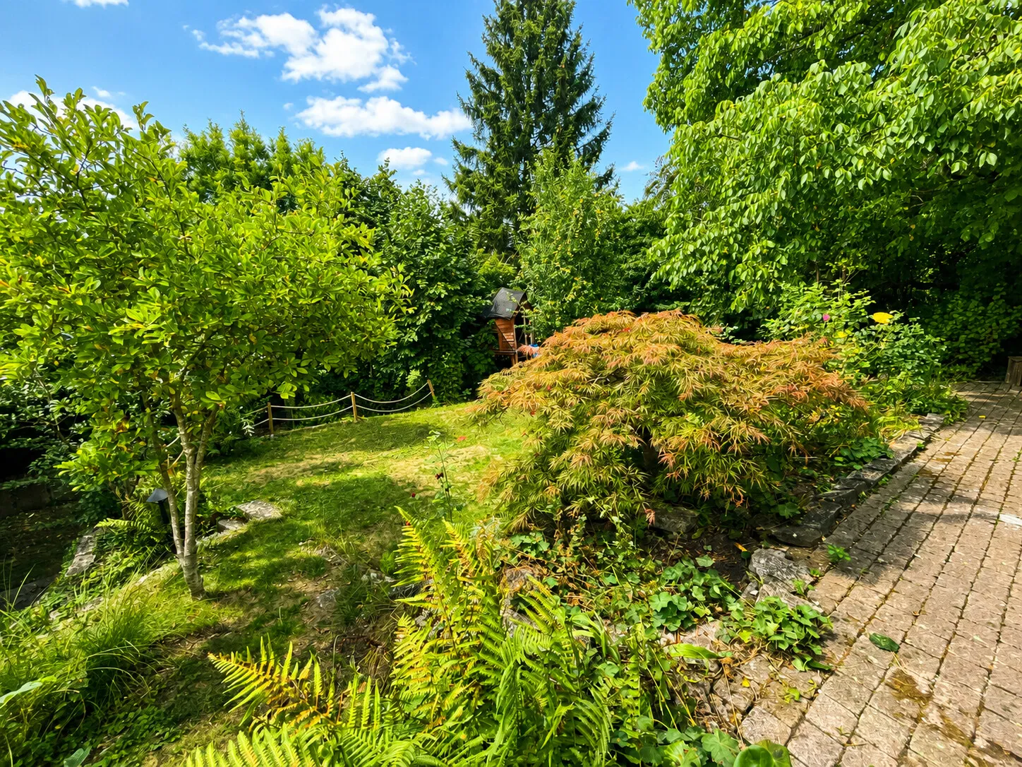 Garten hinten