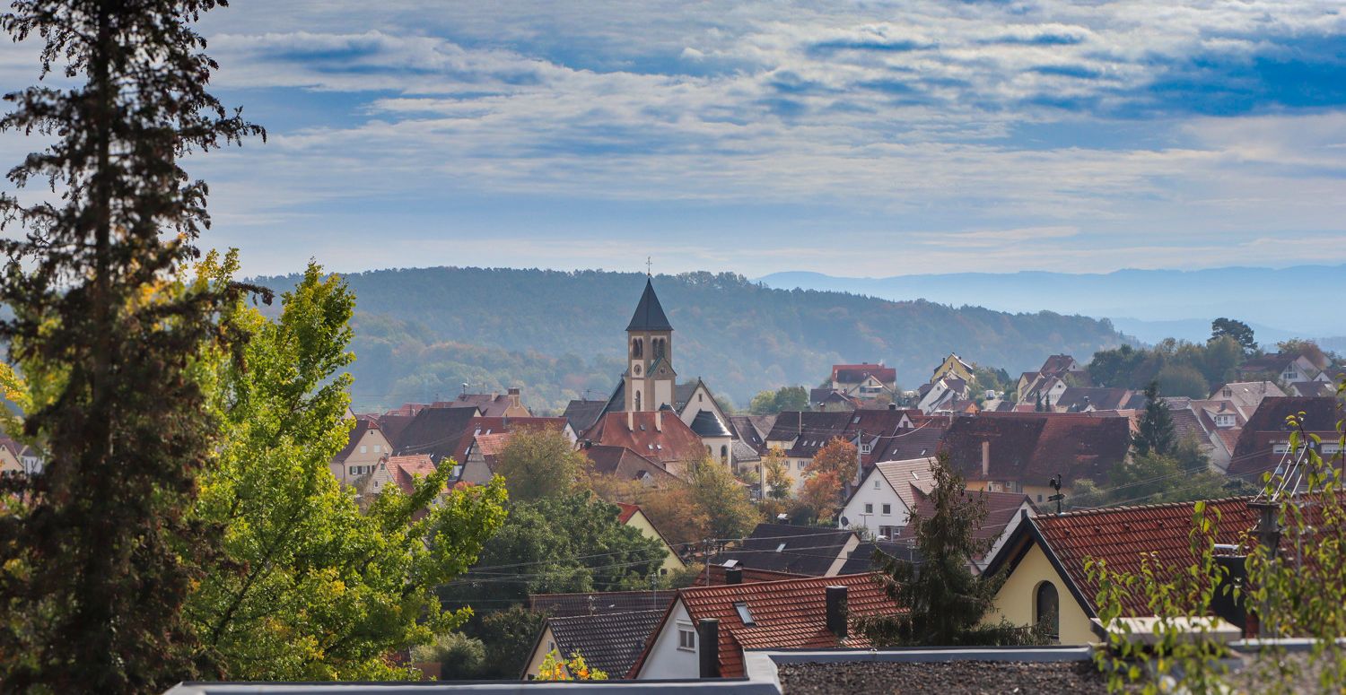 Weitblick