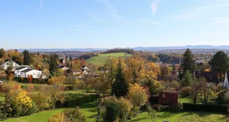 von_poll_real_estate_property_25349047_image_4