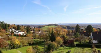 von_poll_real_estate_property_25349047_image_4