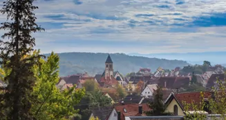 von_poll_real_estate_property_23349012_image_11