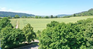 von_poll_real_estate_property_25349042_image_7