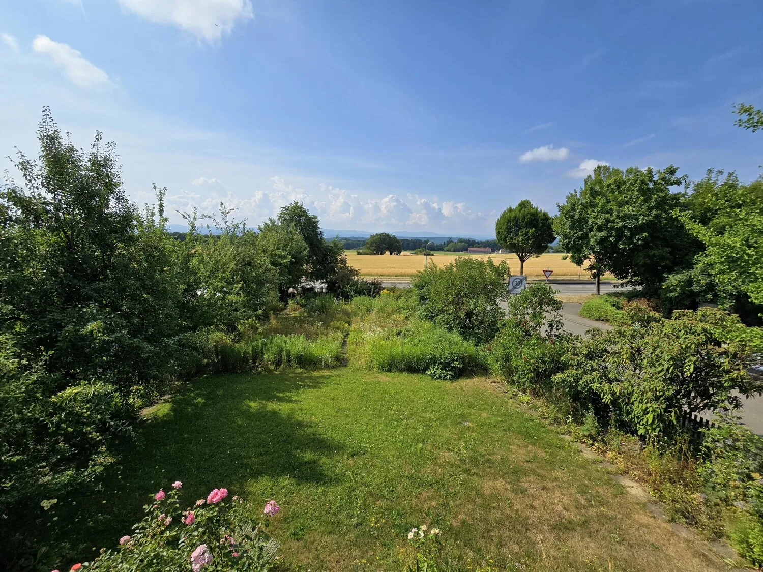 Ausblick in den Garten
