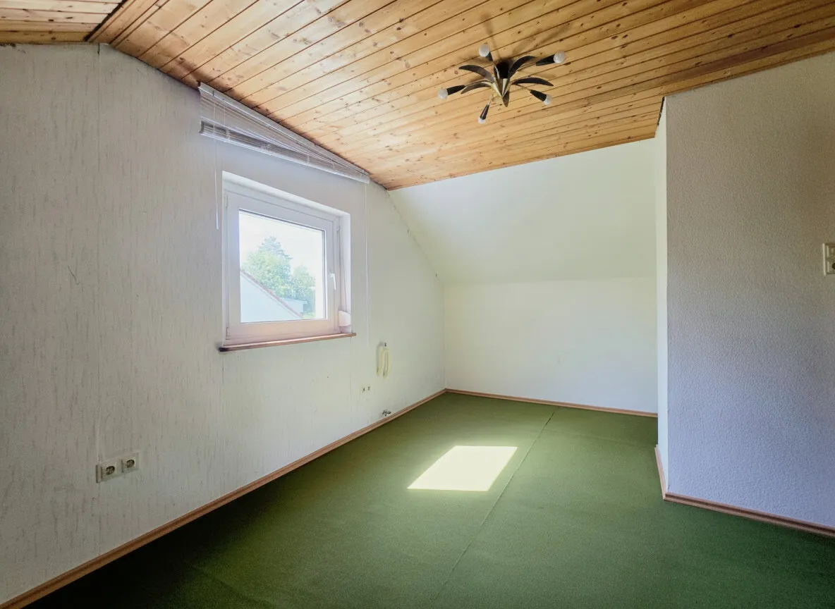 Zimmer DG