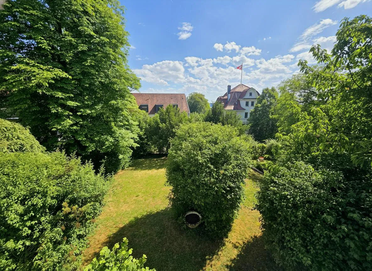 Ausblick OG