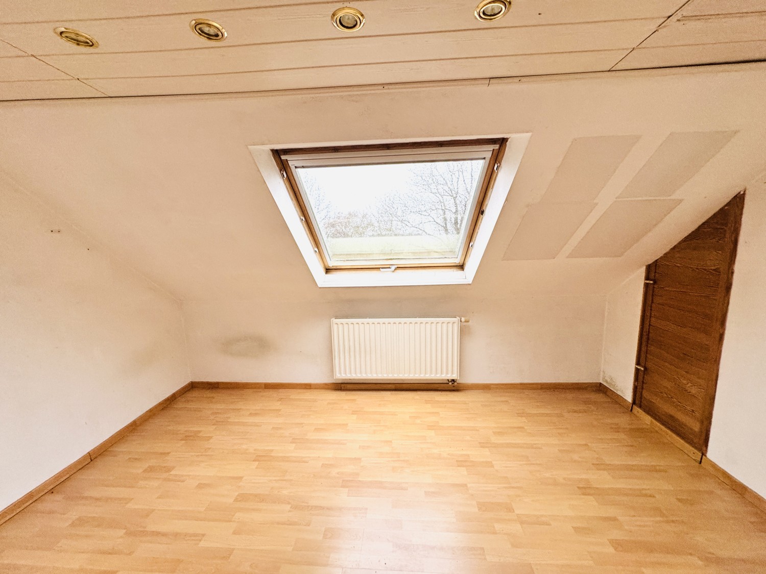 DG Zimmer 2