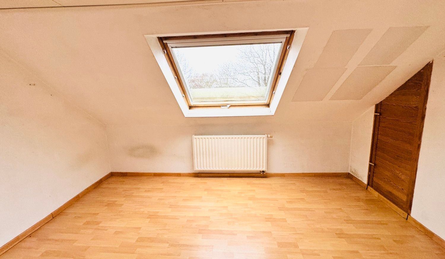 DG Zimmer 2