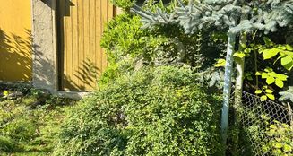 von_poll_real_estate_property_25382035_image_24